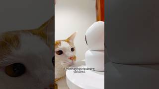 Pantau 24 jam! 😅 Ga perlu khawatir keluar ninggalin anabul di rumah 💃🏻 #kucing #cctv #bardi