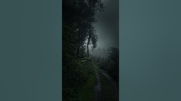 سورة النصر - احمد العجمي