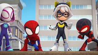 SPIDEY and His Amazing Friends BLACK CAT joins TEAM SPIDEY!