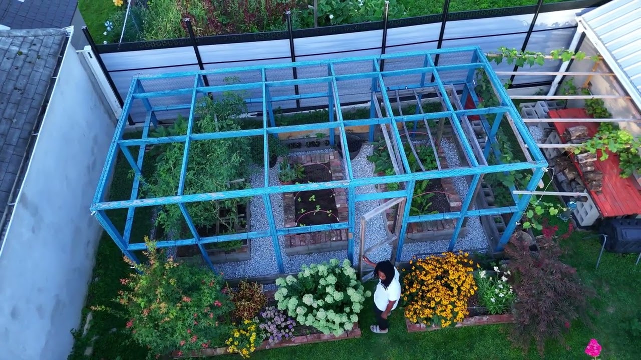 How I Finally Pest-Proofed My Backyard Garden