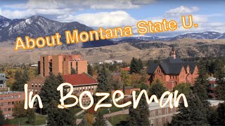 About Montana State University in Bozeman, Montana