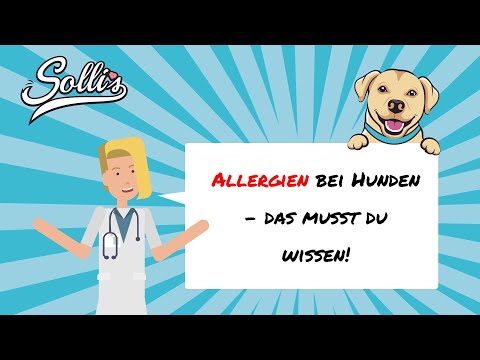 Video: Anzeichen Und Behandlung Von Hundeallergien: So Erkennen Sie, Ob Ihr Hund Allergien Hat