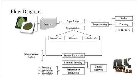 Bacterial Foraging Function Neural Network for Identification of Plant Disease - MyProjectBazaar