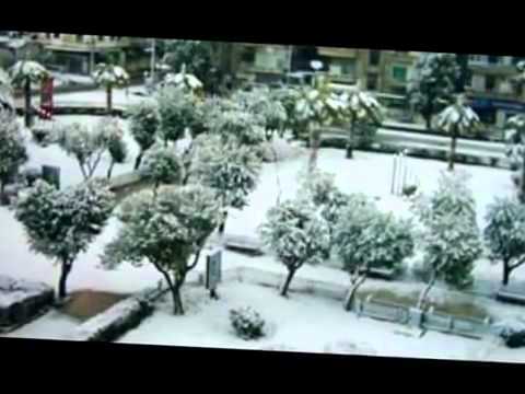 حيوا سوريا وفيق حبيب