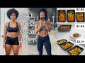 CHEAP &amp; EASY Healthy Meal Prep | vegan fat loss journey