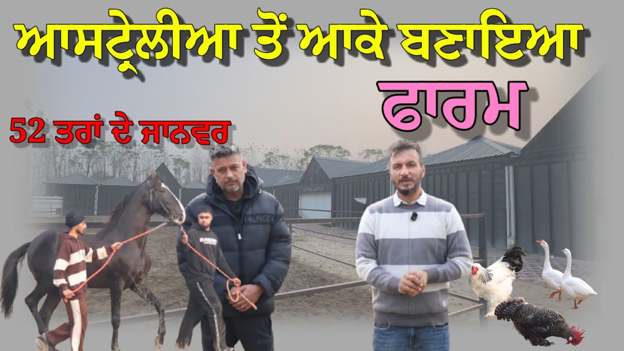 ⁣52 ਤਰਾਂ ਦੇ ਜਾਨਵਰ ਰੱਖੇ ਆ ਬਾਈ ਨੇ ਫਾਰਮ ਤੇ,, ਕੁੱਕੜ ਬੰਦੇ ਨਾਲੋਂ ਜਿਆਦਾ ਮੌਜ ਕਰਦੇ ਆ