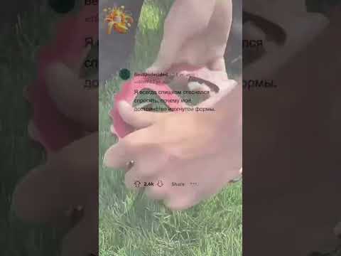 Я ЭТОГО не понимаю, но стесняюсь СПРОСИТЬ #апвоут #реддит #залипашки