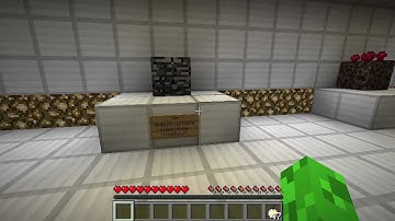 Minecraft Puzzle Map - Red & Blue w/ Robby n