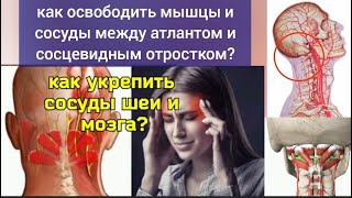 Зажатая линия "атлант - сосцевидный отросток черепа" - причина деградации шеи и мозга. Упражнения