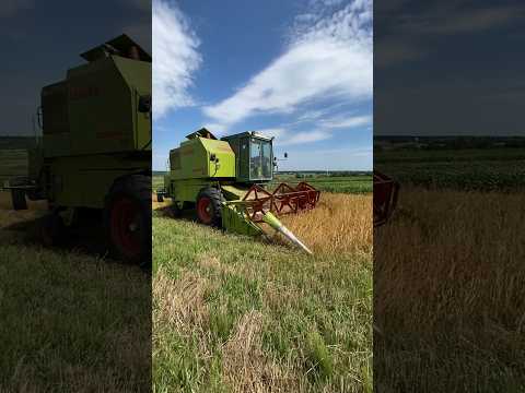 #трактор #farming #agriculture