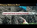 [Ketapang, KALBAR] Co-Firing Biomassa Cangkang Sawit untuk Produksi Listrik Save Our World