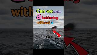 Can we do a BUTTERING without WATERING in the obese plane?? #warthunder #flightsim