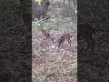 Quiet Stand, Full Buffet 🌾
