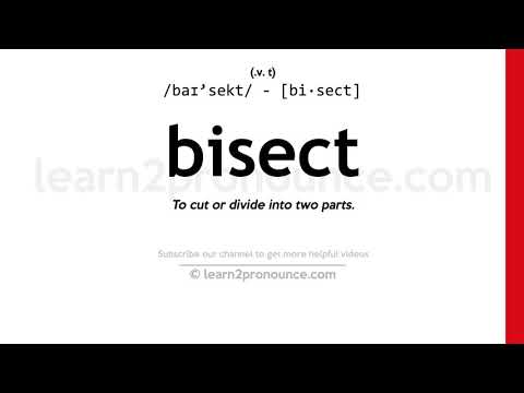 Pronunciation of Bisect | Definition of Bisect