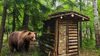 The Bear attacked me. Building a Forest Hut and surviving in the forest for 9 DAYS