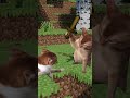 The Insane Evolution of Minecraft PVP #minecraft #shorts