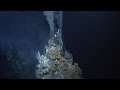 Hydrothermal vent underwater world wonder
