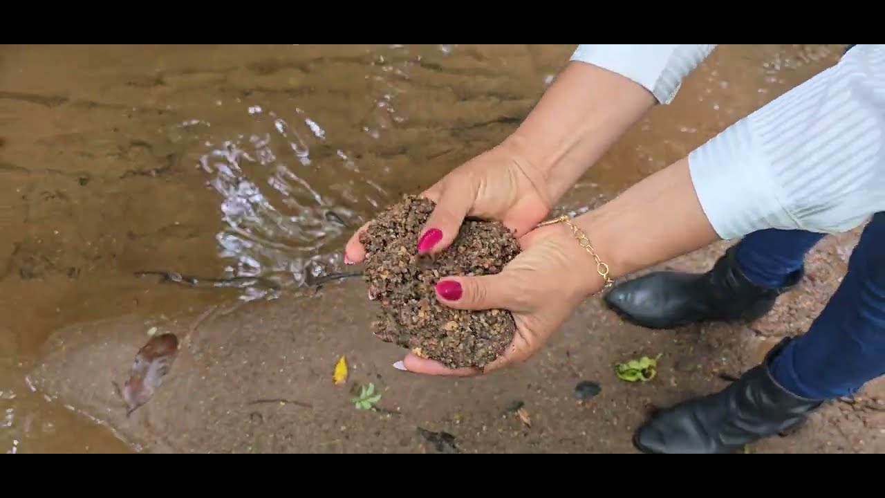 🌿🌷 TERRENO COM RIO DE ÁGUAS CRISTALINAS - TERRA BOA E PLANA - LINDO BOSQUE COM ÁRVORES MARAVILHOSAS🌿