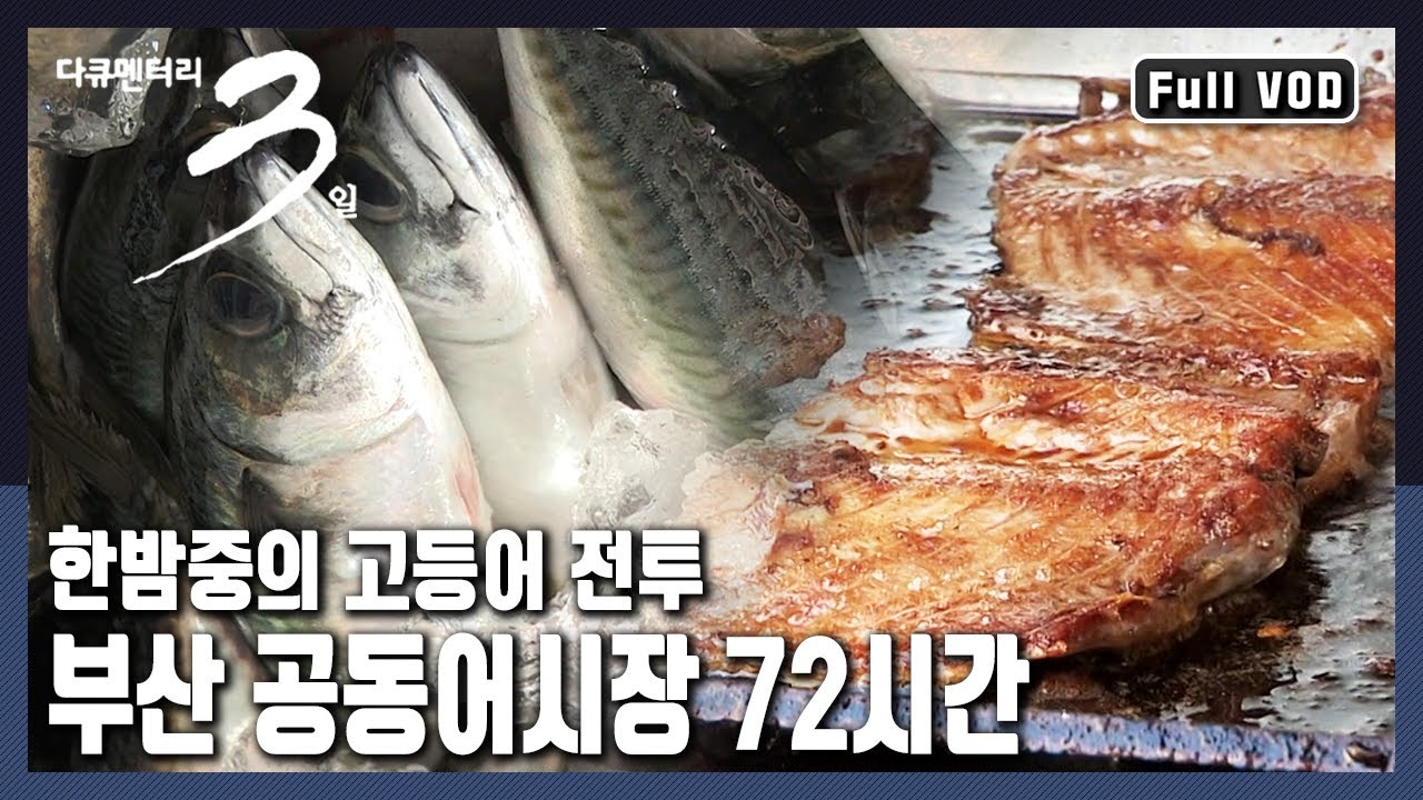 [다큐3일★풀버전] 국민생선 고등어, 고단한 손길들을 거쳐 따뜻한 밥상에 오르기까지 날 것 그대로의 인생이야기가 있는 곳! 부산 공동어시장의 3일 (KBS 20131110 방송)