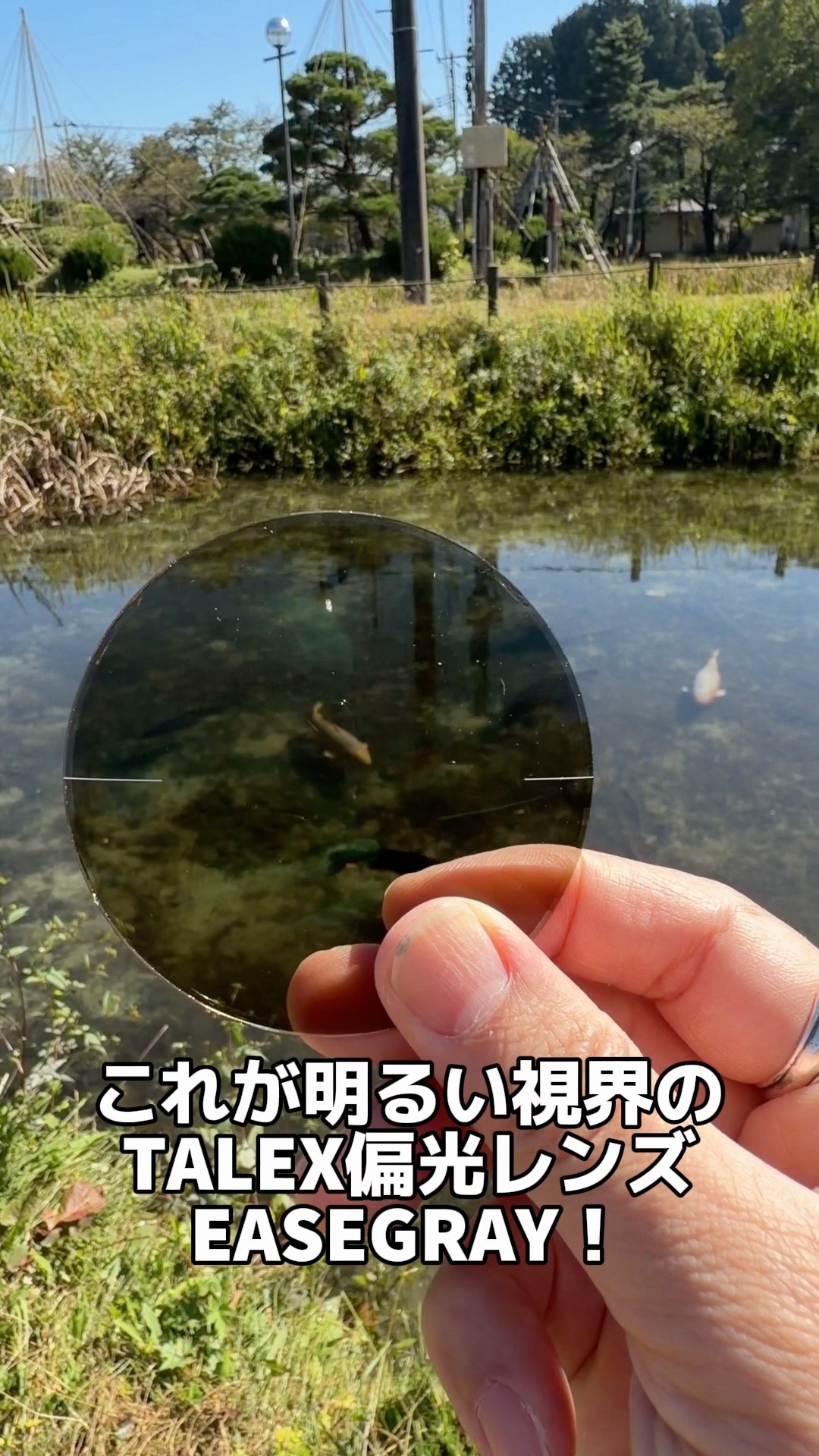 Testing the Visibility of TALEX Fall/Winter Limited Polarized Lens
