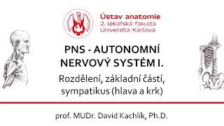 PNS - Autonomní nervy 1