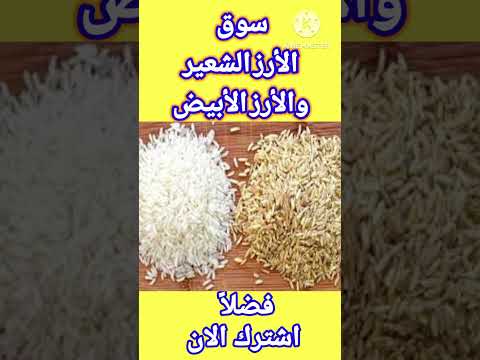 سعر الارز الشعير والأرز الأبيض اليوم