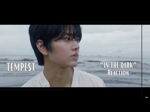 Reaction | TEMPEST(ํ
ํ์คํธ) - In The Dark (์ด๋ ์์์) M/V