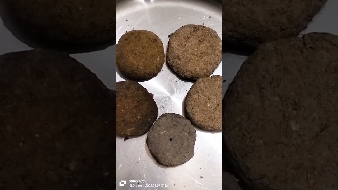 Shidol/ সিদল/ The best 3 ways to preserved Shidol/ সিদল সংরক্ষণ করার তিনটি উপায়/ #Beauty'sDreamvlog