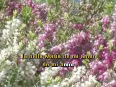 Karaoke - La Bella Maria - Antonio Banderas