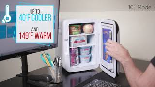 Best Mini Fridge For Office Under $100 Review 