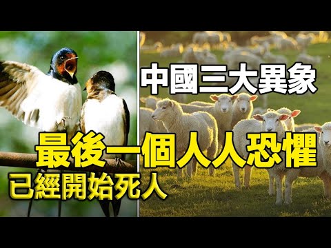 🔥🔥中国大陆三大异象：第二个史上罕见 最后一个人人恐惧 因为已经开始死人❗❗