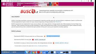 BUSCO Tutorial - How to do a basic run with BUSCO to assess completeness of genomes.