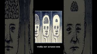 червь 6 1 #какизмениться #юмор #продлениежизни