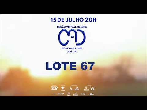 LOTE 67