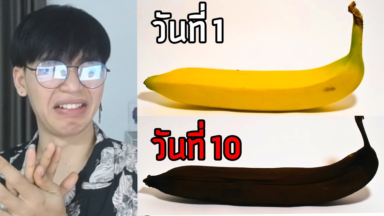 รู้มั้ยเกิดอะไรขึ้นตอนที่อาหารเริ่มเน่า!? 🤢🤢🤢