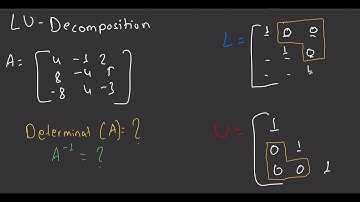 LU DECOMPOSITION of a Matrix, DETERMINANT/INVERSE
