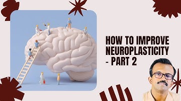 How to increase Neuroplasticity- part 2 - Dr. Jason Ambrose DM(Neuro)