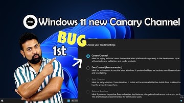 First Major Bug with Windows 11 new Canary Channel
