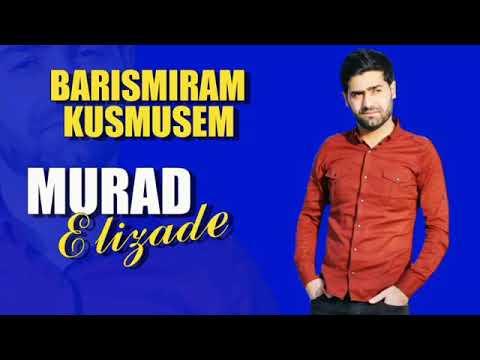 Azəri Bass Music {Murad Elizadə - Barismiram kusmusem}(Original mix)(Official music video )2021