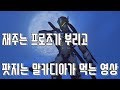 【오버워치†말카디아】재주는 프로즈가 부리고 팟지는 말카디아가 먹는다.