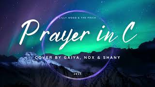 🎸🎹🎙Prayer In C - Lilly Wood & The Prick - Cover