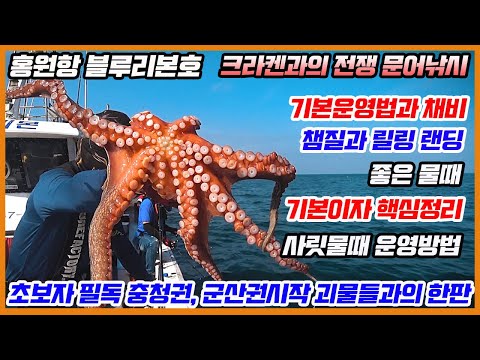 풍낚TV 문어낚시/초보자필독영상/기본운영법/문어채비/기본핵심정리/사릿물때운영방법/외연도문어낚시/홍원항블루리본호/Cinematic Fishing Vlog