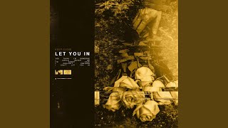 Let You In