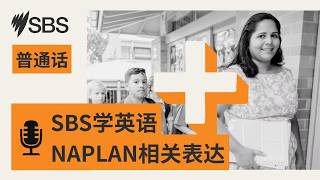 【SBS学英语】第104集附加版:聊聊学校考试|NAPLAN相关表达 |...