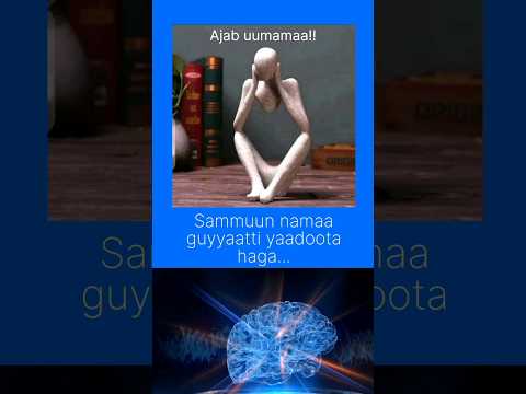 sammuun namaa guyyaatti