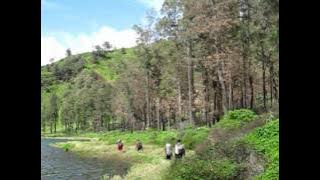 Iwan Fals - Sang Petualang