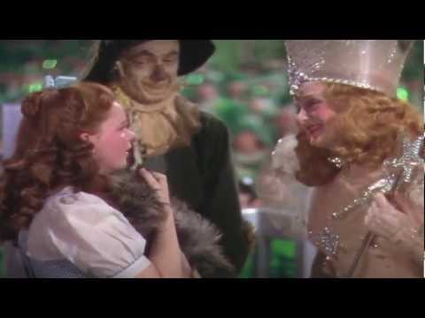 Wizard Of Meh Alternative Video