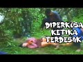 Diperko5a Penjahat Ketika Tngh MAND1