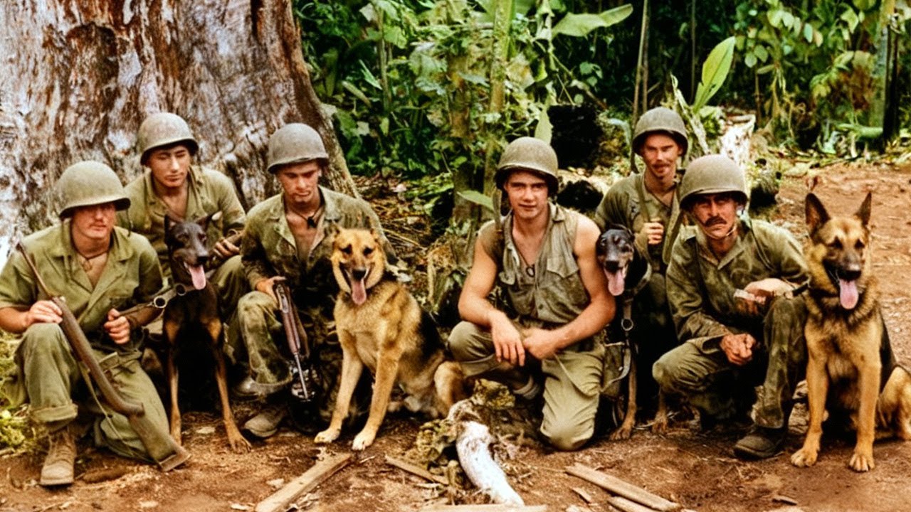 Japanese Soldiers Were Terrified When U.S. Marines Released Dogs That Could Track Them Down