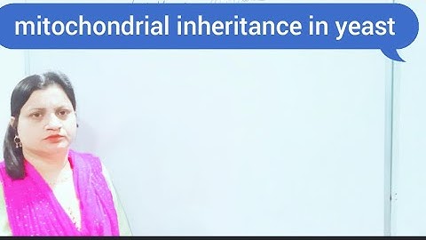 mitochondrial inheritance in yeast#cytoplasmic inheritance#genetics#botany#nazz studies...